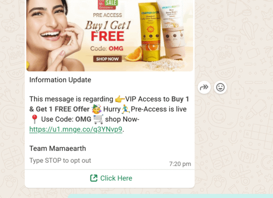 WhatsApp Business API Provider